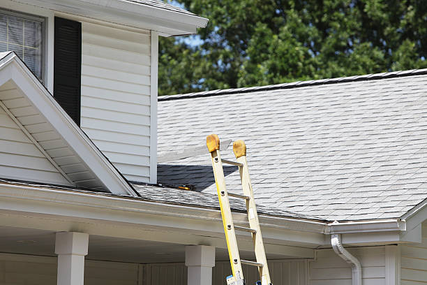 Best Wood Siding Installation  in Blackhawk, SD